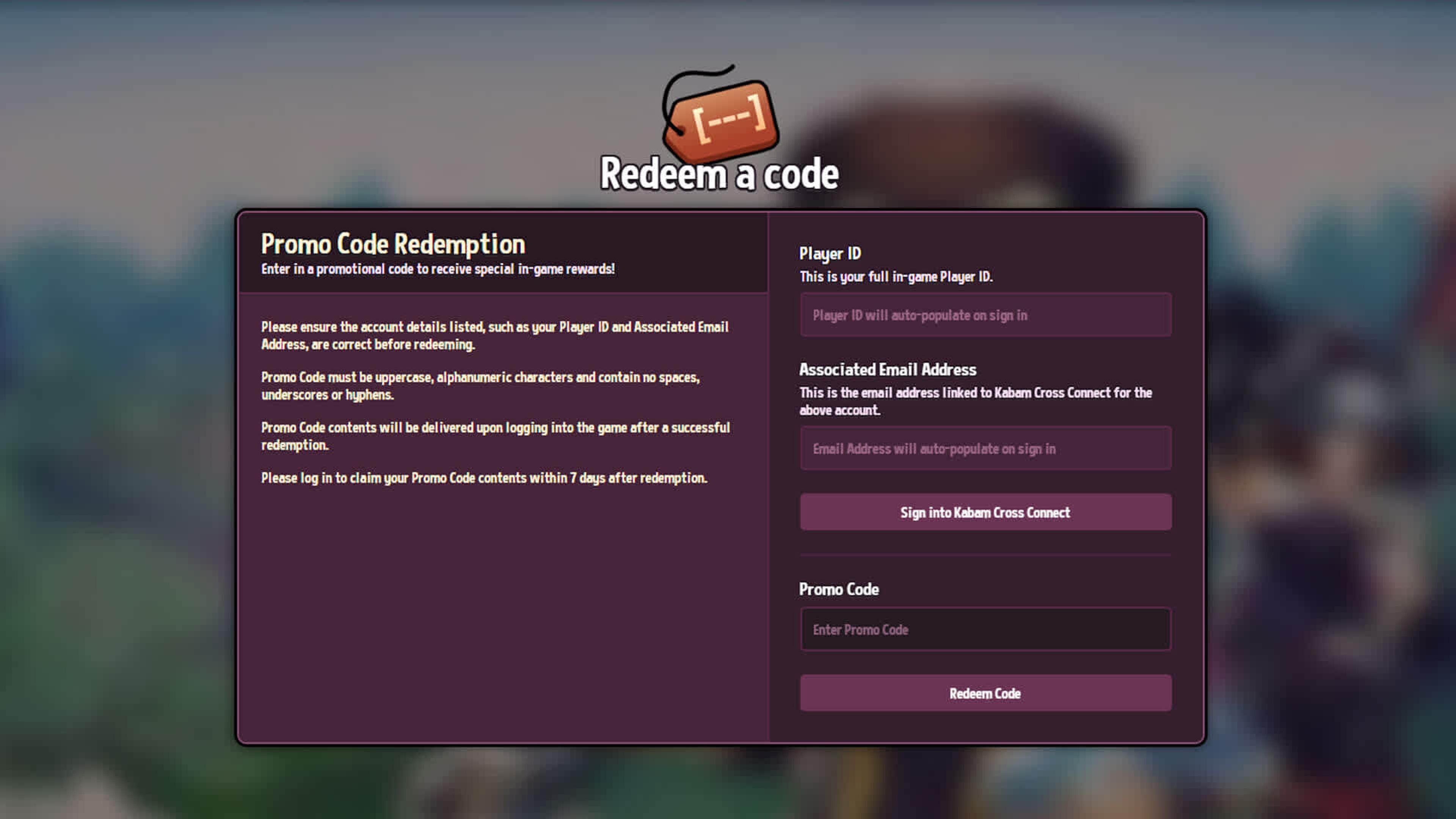 A look at the promo code web redemption page.